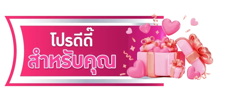 โปรดีดี๊ สำหรับคุณ